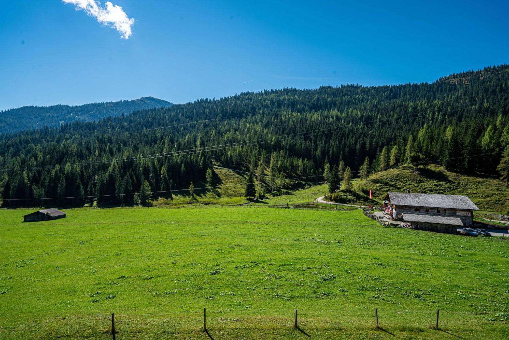 فندق Mittereggalm Mühlbach am Hochkönig المظهر الخارجي الصورة